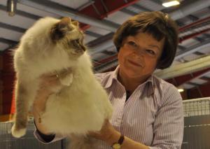 Cindy på Berak, 16.02.13 hos dommer Boiko. Hun blir BIV Total og NOM