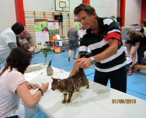 Dhara på Sørak, 31.8.13