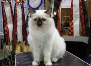 5,5 months at Hansakatten. Photo: L. Reiersen