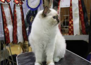 5,5 months at Hansakatten. Photo: L. Reiersen