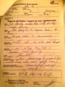 Judgement, 07.12.14 by Alessandro Ghibaudo