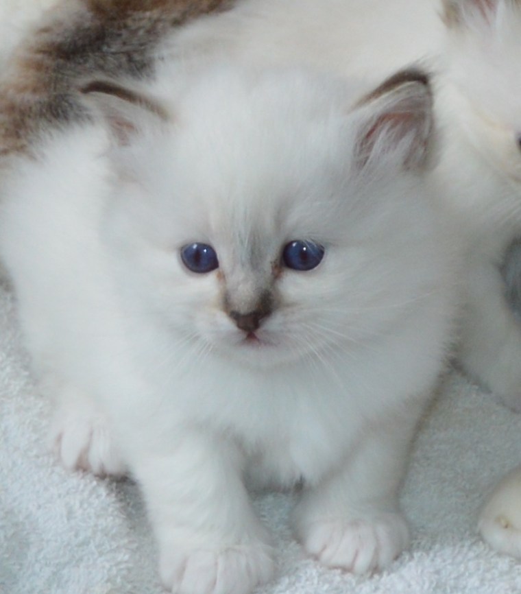 Emine, 1 mnd