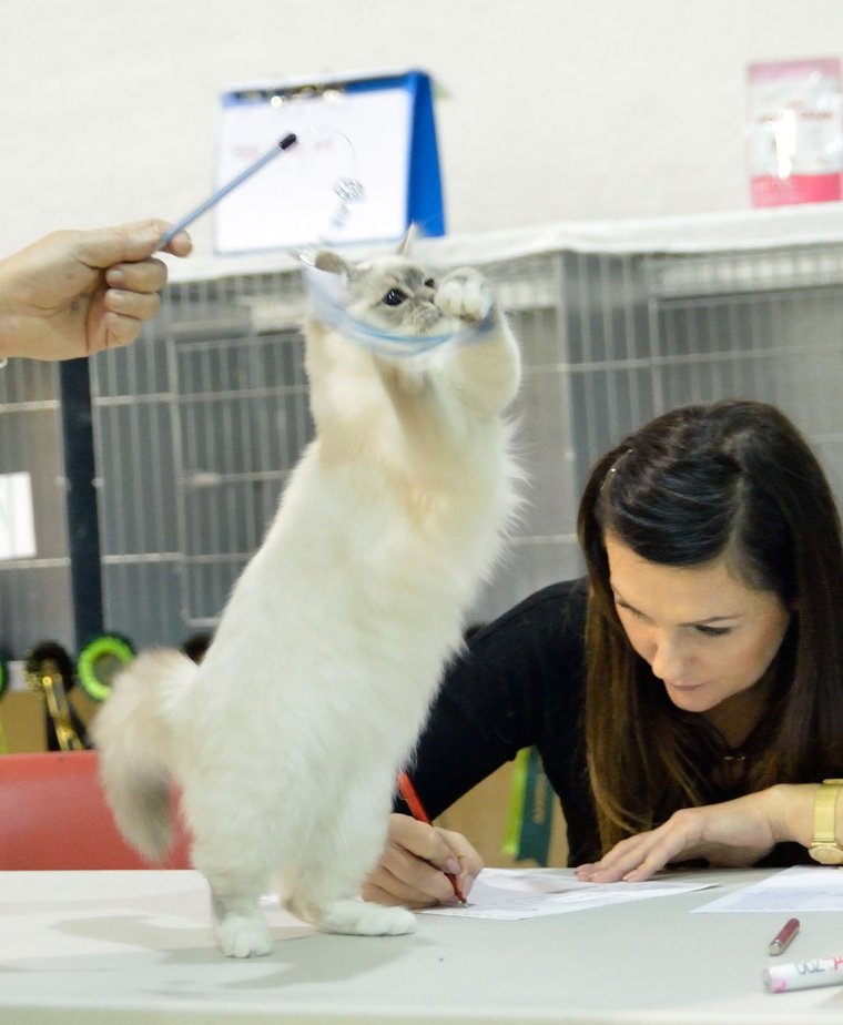 Escada, 6 months- at Berak