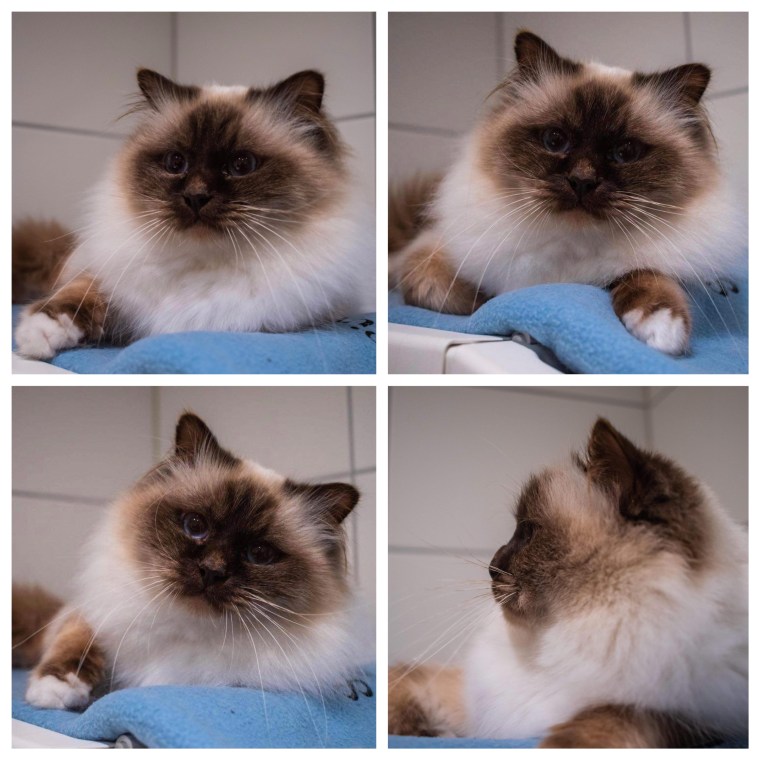 D5EAE126-A527-437D-8F41-CFD9B53A1545